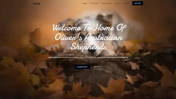 Screenshot of