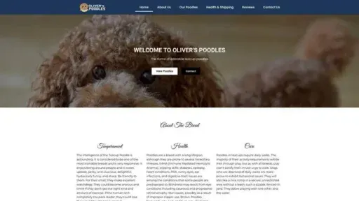 Screenshot of