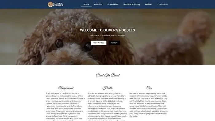 Screenshot of