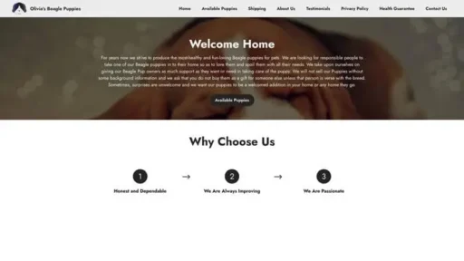 Screenshot of