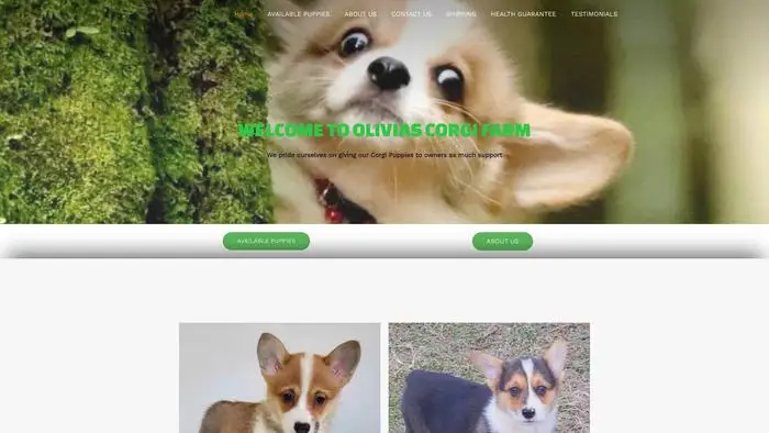 Screenshot of