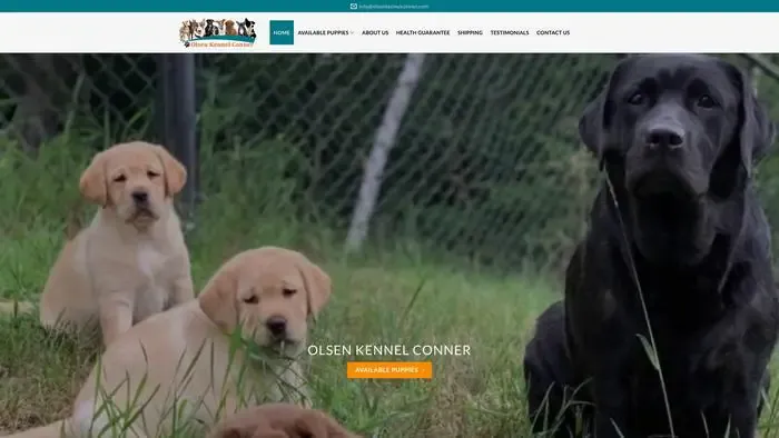 Screenshot of