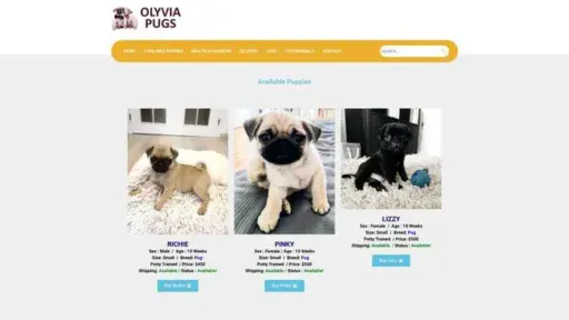 Screenshot of