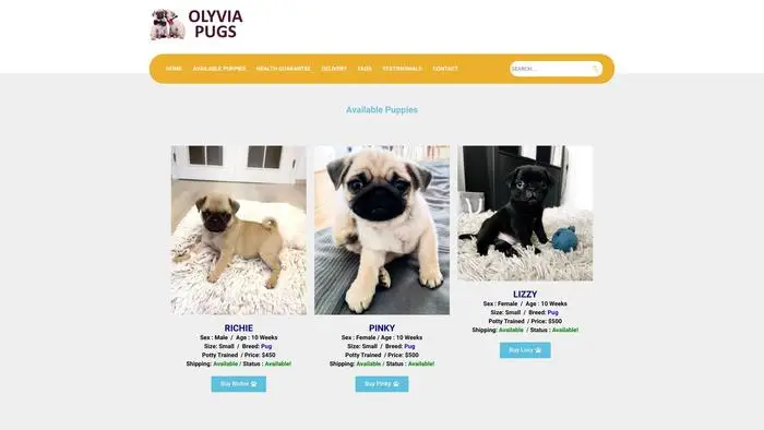 Screenshot of