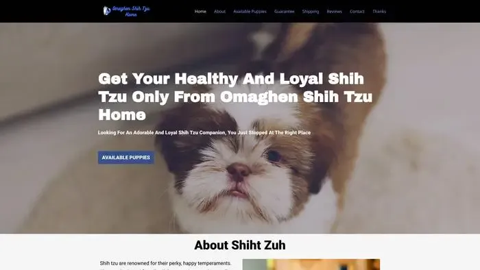 Screenshot of