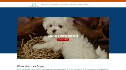 Screenshot of