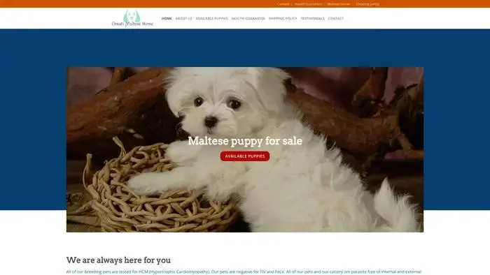 Screenshot of