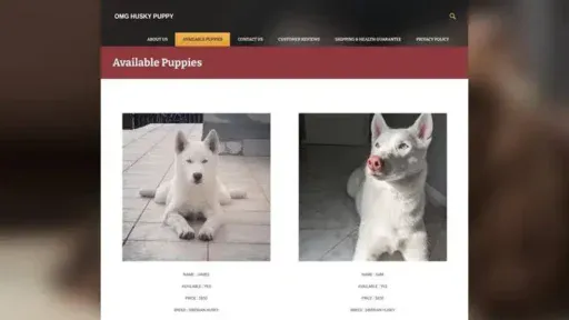 Screenshot of