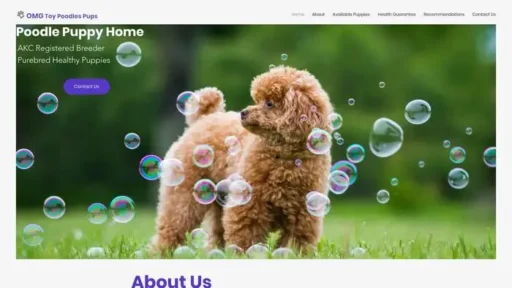 Screenshot of