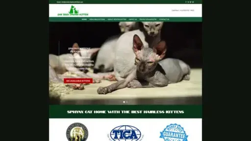 Screenshot of