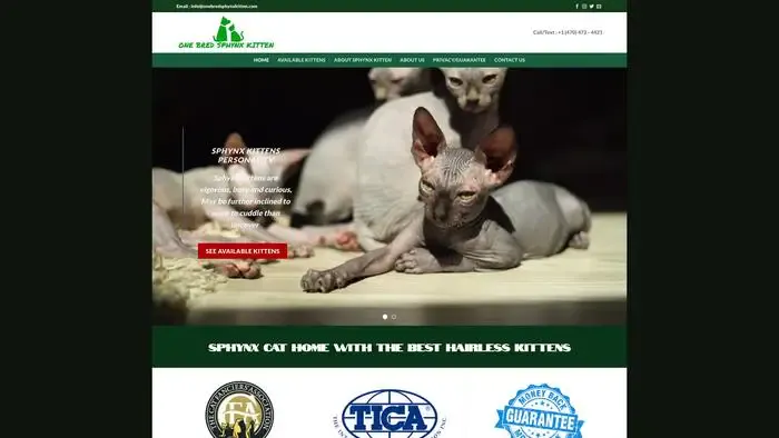 Screenshot of