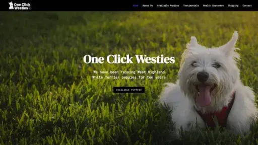 Screenshot of