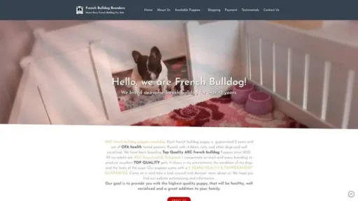 Screenshot of