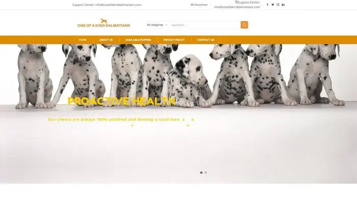 Screenshot of