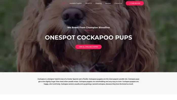 Screenshot of