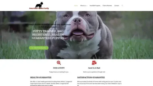 Screenshot of