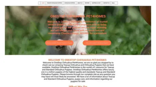 Screenshot of