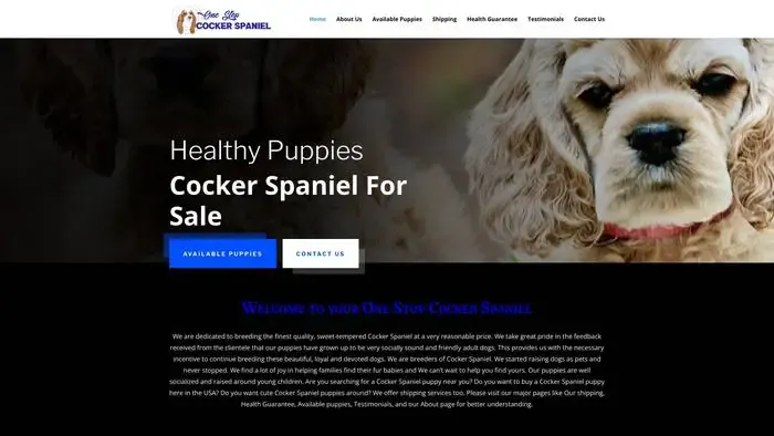Screenshot of