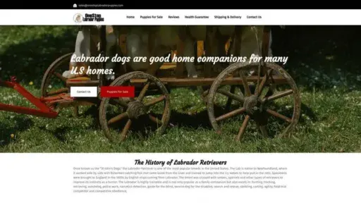 Screenshot of