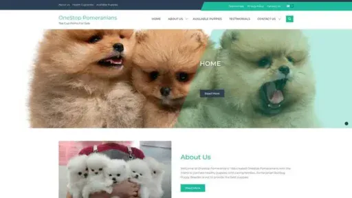 Screenshot of