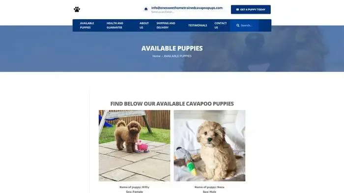Screenshot of