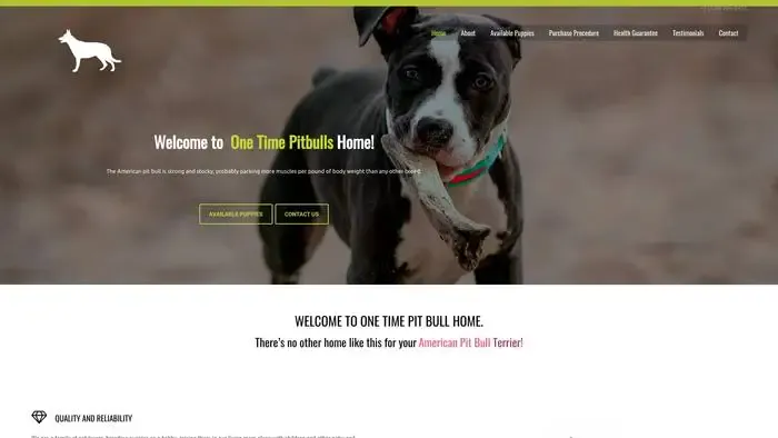 Screenshot of
