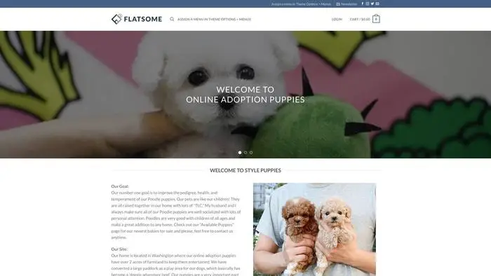 Screenshot of