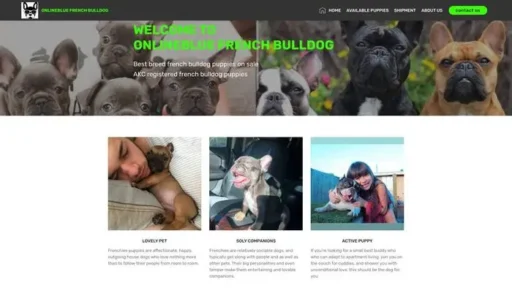 Screenshot of
