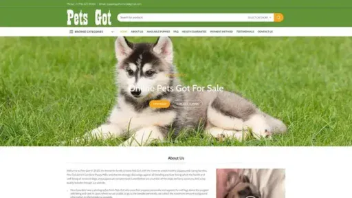 Screenshot of