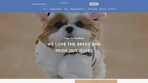 Screenshot of