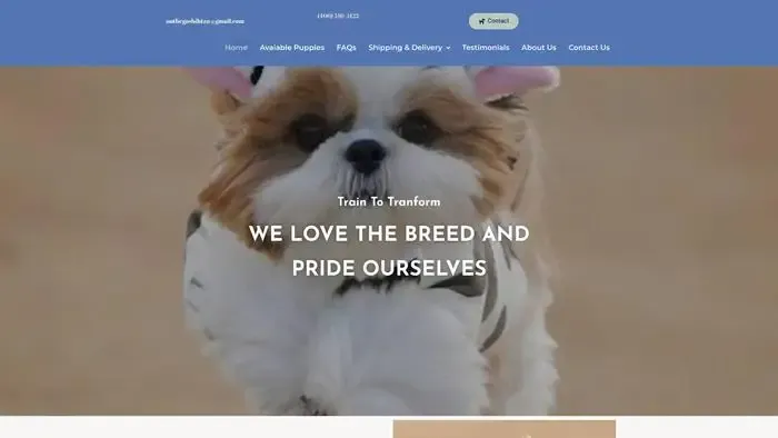 Screenshot of