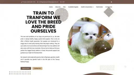 Screenshot of