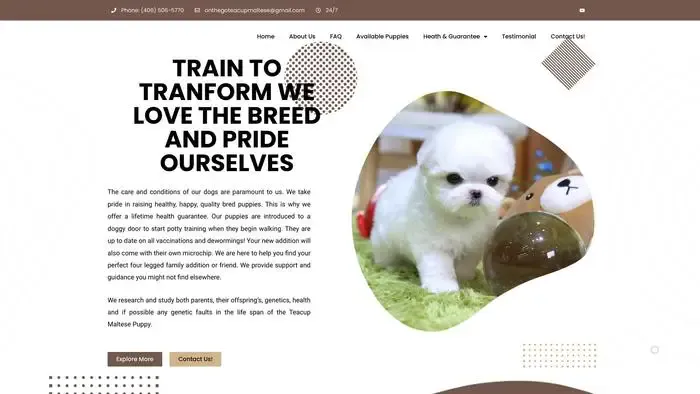 Screenshot of
