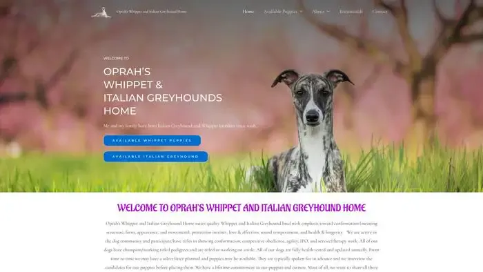 Screenshot of