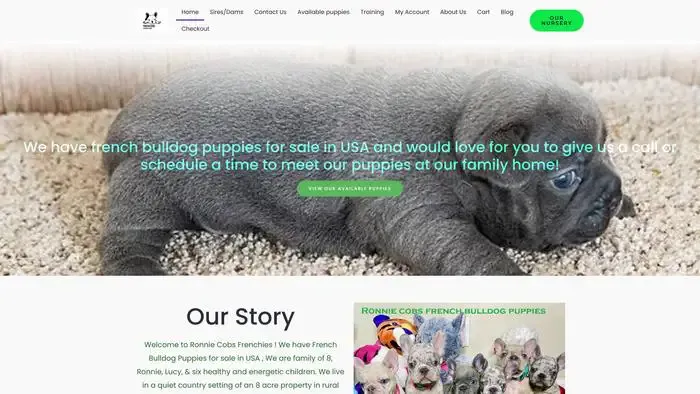 Screenshot of