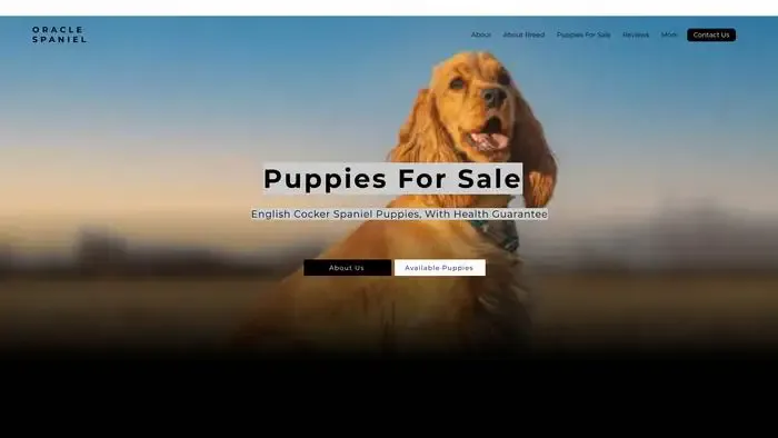 Screenshot of