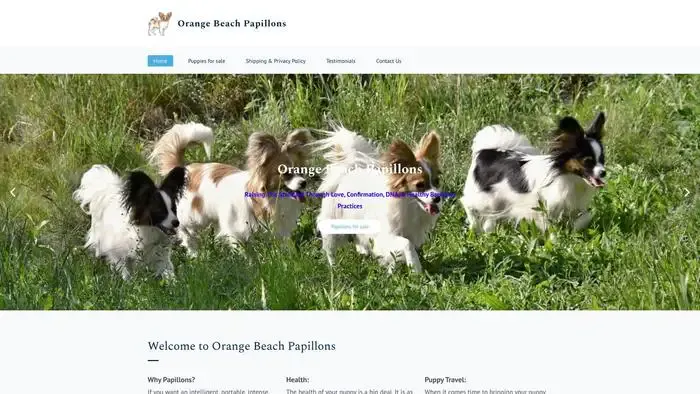 Screenshot of
