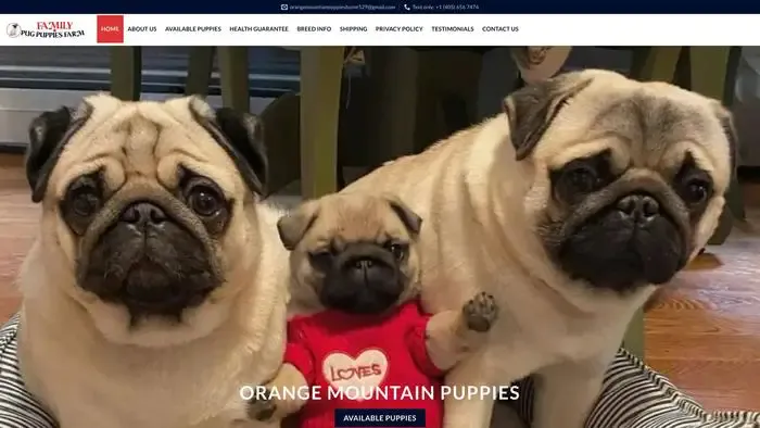 Screenshot of