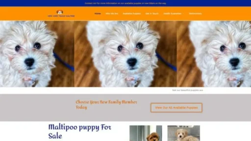Screenshot of||
