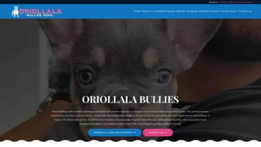 Screenshot of