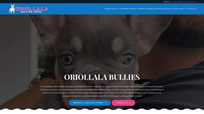 Screenshot of