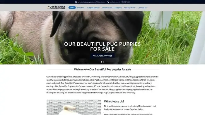 Screenshot of