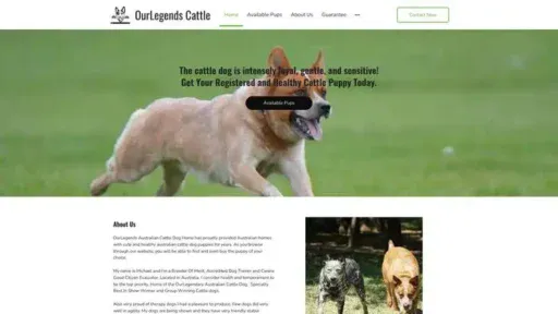Screenshot of