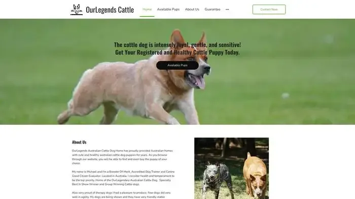 Screenshot of