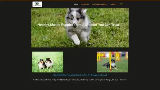 Screenshot of