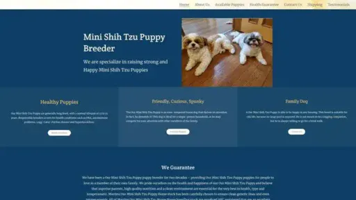Screenshot of