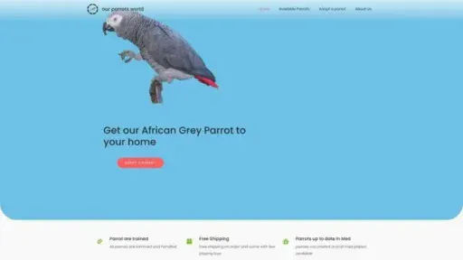 Screenshot of