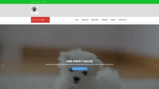 Screenshot of||