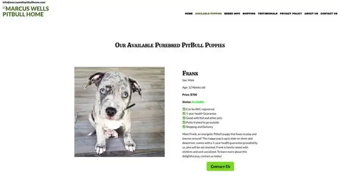 Screenshot of