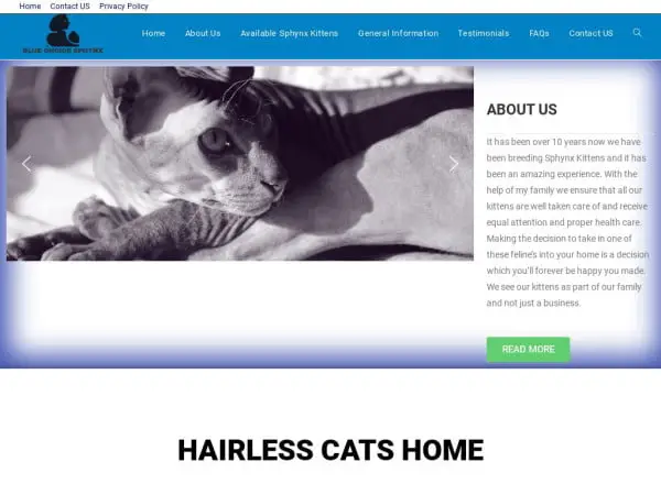 Screenshot of